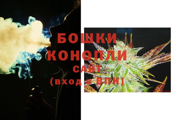 метадон Белокуриха