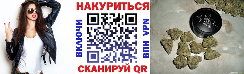 Шишки марихуана гибрид купить наркотики цена Янаул